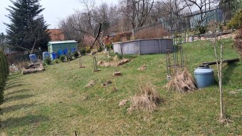 Prodám zahradu - 4
