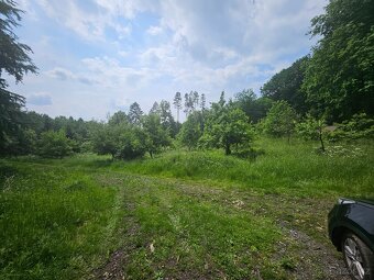 Prodej velkého pozemku 3670m2 uprostřed lesa - 4