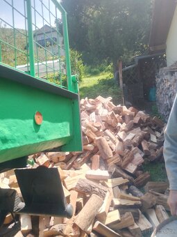 Palivové dřevo - 4