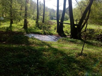 Výměna - srub s pozemkem - 4