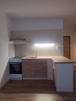 Pronájem bytu 2+kk Ústí nad Labem, Peškova - 4