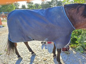 Prodám nepromokavou deku Horseware 140cm 0g - 4