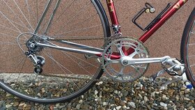 Vicini Cromvelato 54 cm - 4