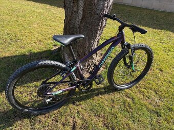 Dětské horské kolo Orbea 24 - 4