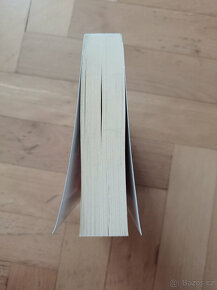 Kirsten J. Bishopová - Vryté město - 4