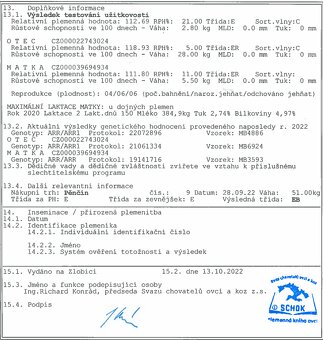 Východofríský Beran plemený - 4