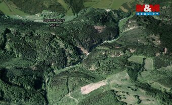 Prodej lesa, 12967 m², Nemile - 4