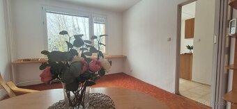 Prodej družstevního bytu 1+1 v Turnově - 4