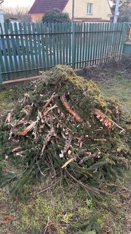 Štěpka za odvoz - 4