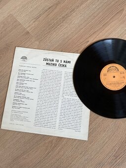 Gramofonové desky - 4