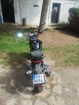 SYM Wolf 125 - 4