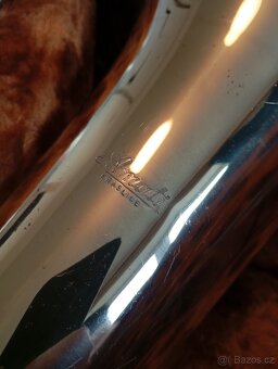 Tenor baskřídlovka - 4