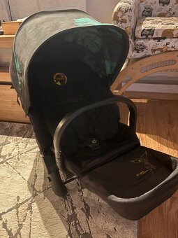 Sportovní sezeni cybex Priam birds - 4