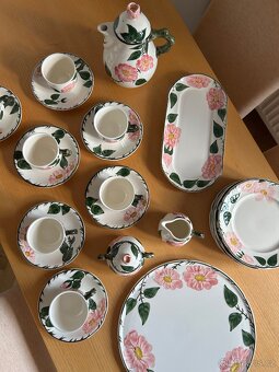 servis Villeroy & Boch Wild Rose - 4