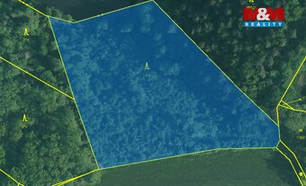 Prodej lesa, 9271 m², Římov - Branišovice - 4