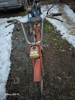 Babeta červená - 4