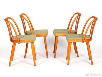 A. Šuman, přečalouněné dubové židle TON 4 kusy. - 4