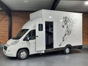Fiat Ducato - prepravník koní, prepravník na kone - 4