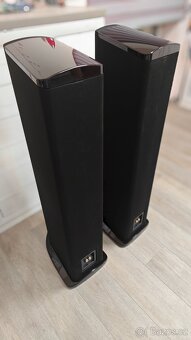 GoldenEar Triton Five - 4