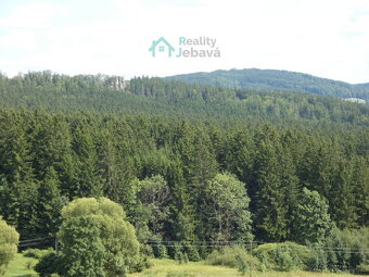 Prodej, pozemek, Křižánky - České Křižánky - 4