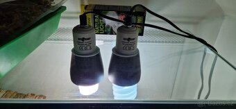 Terarium 70x35x31 Akvamex - 4