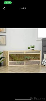 Terrarium - 4