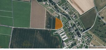 Pozemek o výměře 9 124 m², Litíč, okr.Trutnov - 4