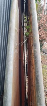 Vrata na foliák, foliovník - 4