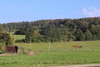 Ustájení koní na Šumavě - 4