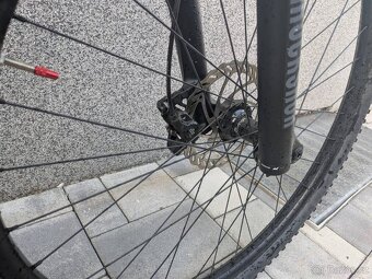 Rose Count solo 3 - 4