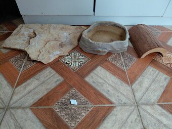Terarium - 4