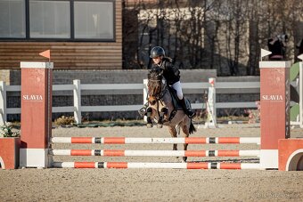 Charakterní první pony kat. S - 4