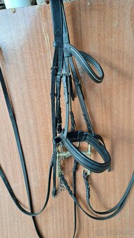 Drezurní uzda + páka a stihlo - 4