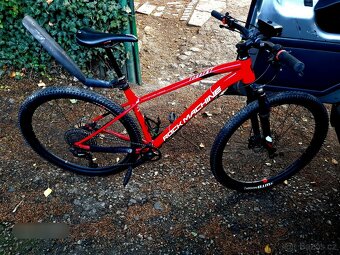 Horské kolo Rock Machine Torrent seventy 70 - 4