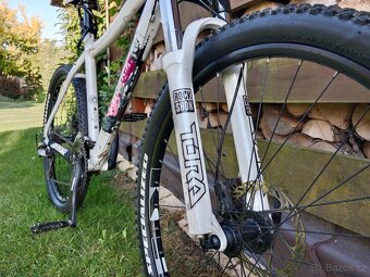 Kolo Specialized, 19 - 4