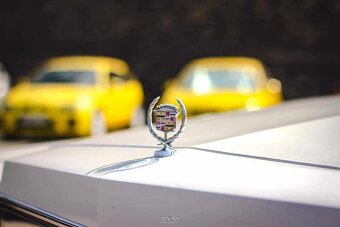Cadillac fleetwood 1978 - 4