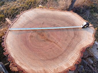 Dubové koláče - 4