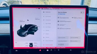 Tesla Model 3 LR AWD, 2021 refresh, SoH 92%, 155.112 km, DPH - 4
