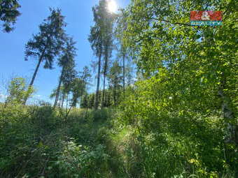 Prodej lesa, 15167 m², Kropáčova Vrutice - 4