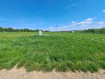 Exkluzivní nabídka stavebního pozemku v Mistřicích o 1734 m² - 4