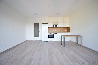 Pronájem bytu 1+kk, Hybešova, Staré Brno, 38 m2 - 4