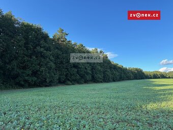 Výjimečný stavební pozemek u lesa Zlín - Velíková - 4
