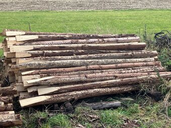 Prodám dřevěné kůly - 4