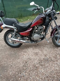Chopper 125cm 11kw - 4
