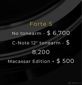 E.A.T. FORTE S - s 12” ramenem Pro-ject “Macassar” - 4