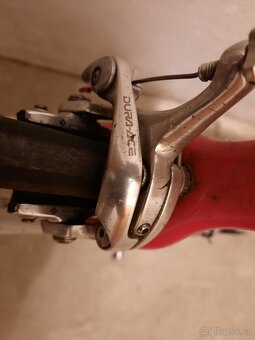 Author CA66 Charisma - 4