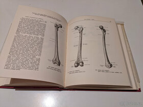 Atlas anatomie člověka - 4