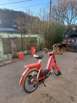 Moped Cimatti 50 ccm - 4