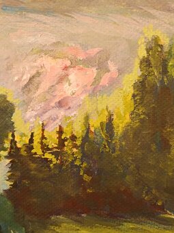 Obraz Vydra - Šumava, olejomalba 64x85 - 4