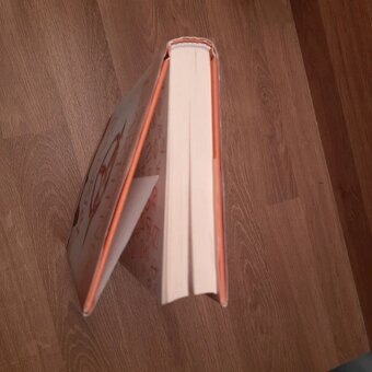 Sabriel, Garth Nix - 4